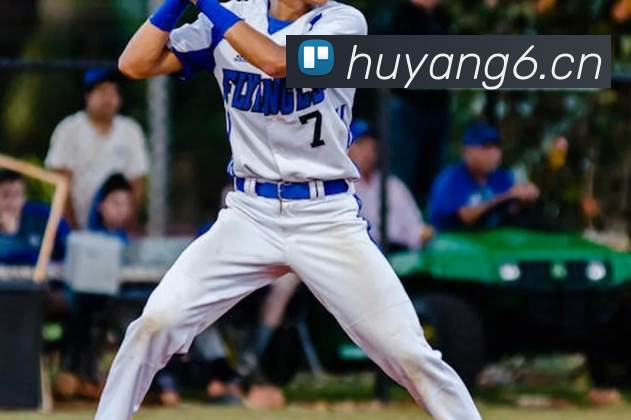 Bsports必一运动(中国区)官方网站平台生态图